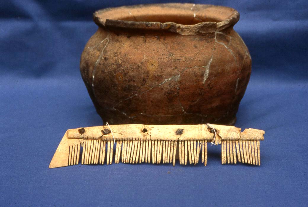 Roman pot and comb